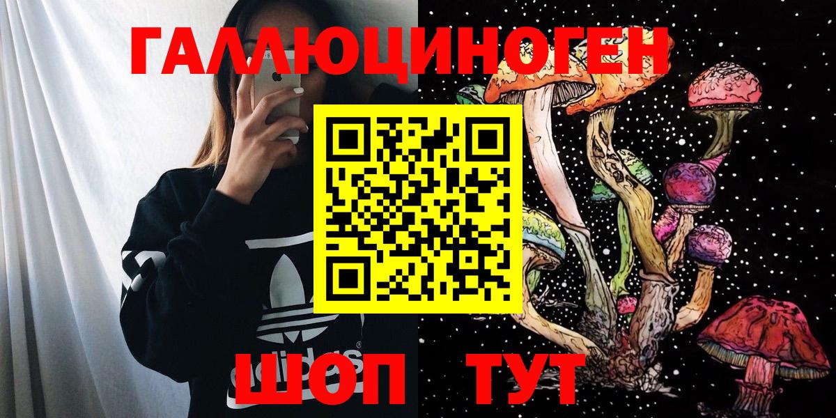 Меф Кудымкар