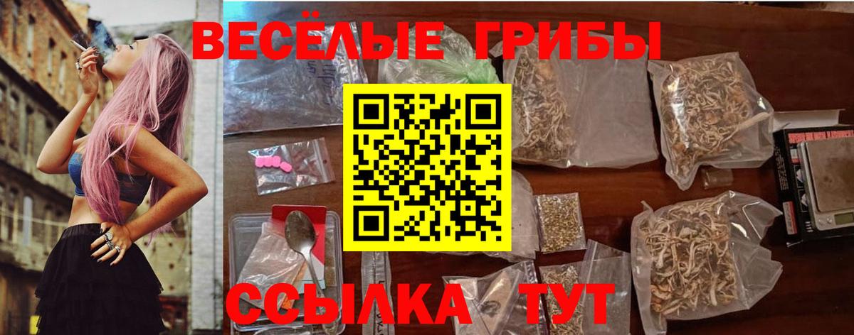 Галлюциногенные грибы прущие грибы  Псилоцибиновые грибы MAGIC MUSHROOMS  Вход с VPN  Кудымкар 